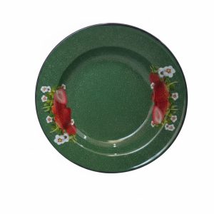 PLATO ENLOZADO COLORES 22 CM